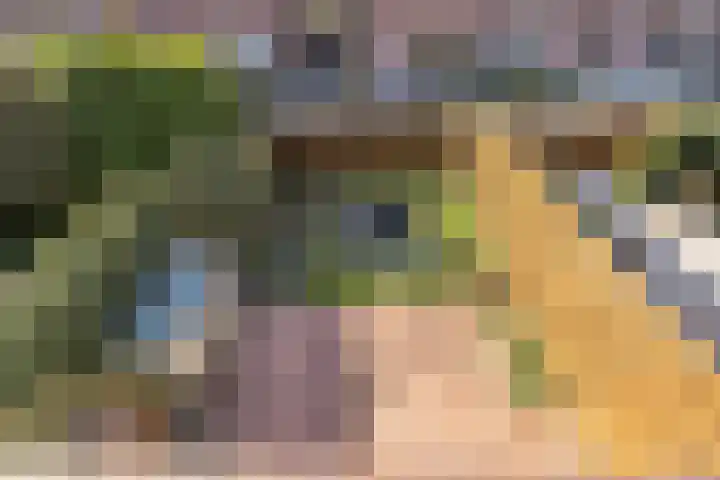 Kamperfoeliestraat 3 Landsmeer thumbnail 24