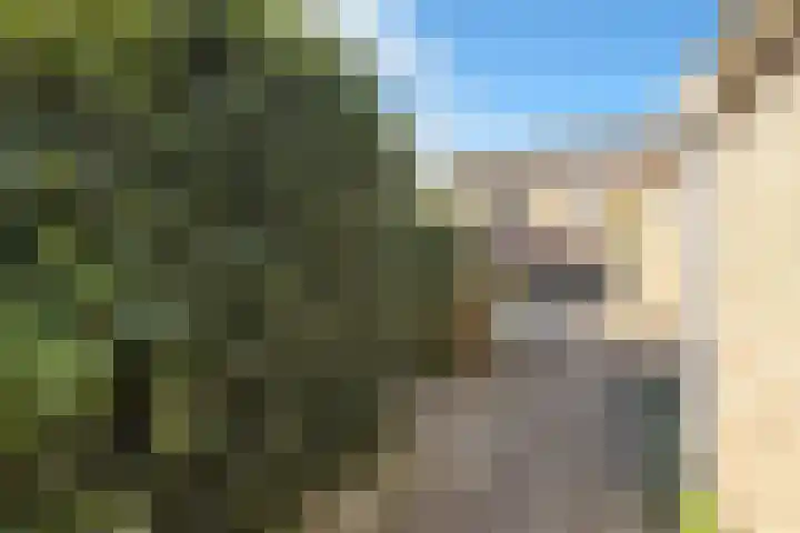 Kamperfoeliestraat 3 Landsmeer thumbnail 25