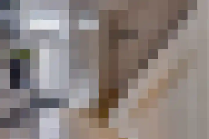 Kamperfoeliestraat 3 Musselkanaal thumbnail 10