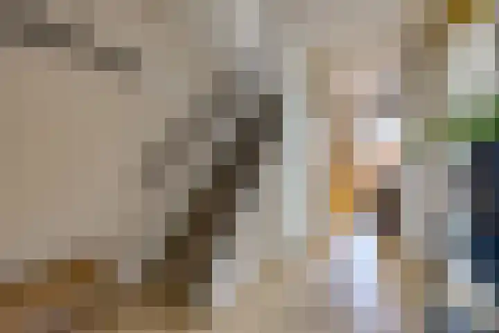 Kamperfoeliestraat 3 Musselkanaal thumbnail 12