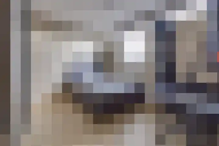 Kamperfoeliestraat 3 Musselkanaal thumbnail 17