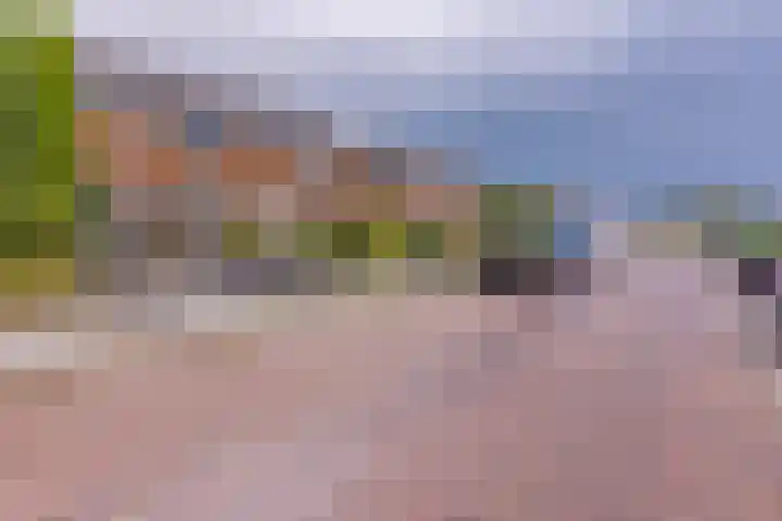 Kamperfoeliestraat 3 Musselkanaal thumbnail 25