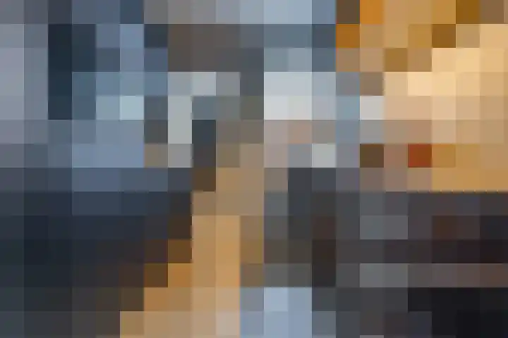 Kamperfoeliestraat 3 Musselkanaal thumbnail 6