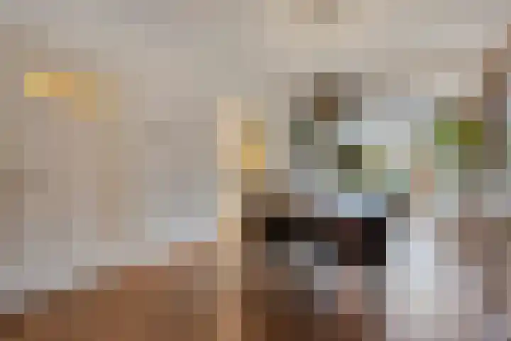 Kamperfoeliestraat 3 's-Hertogenbosch thumbnail 10