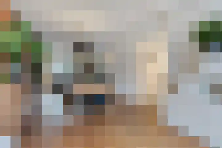 Kamperfoeliestraat 3 's-Hertogenbosch thumbnail 11