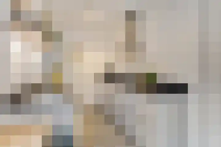 Kamperfoeliestraat 3 's-Hertogenbosch thumbnail 17