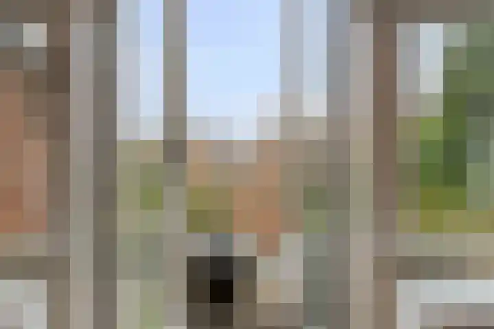 Kamperfoeliestraat 3 's-Hertogenbosch thumbnail 28