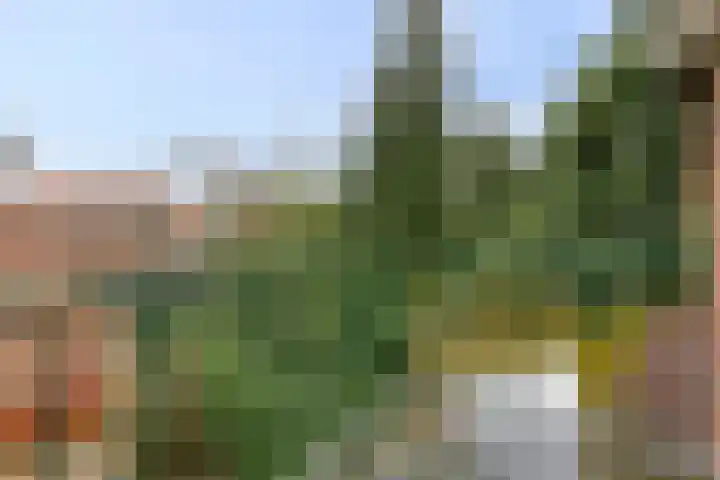 Kamperfoeliestraat 3 's-Hertogenbosch thumbnail 29