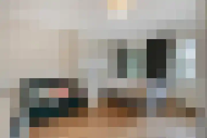 Kamperfoeliestraat 3 's-Hertogenbosch thumbnail 30