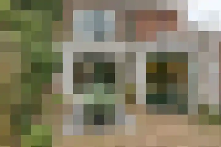 Kamperfoeliestraat 3 's-Hertogenbosch thumbnail 43
