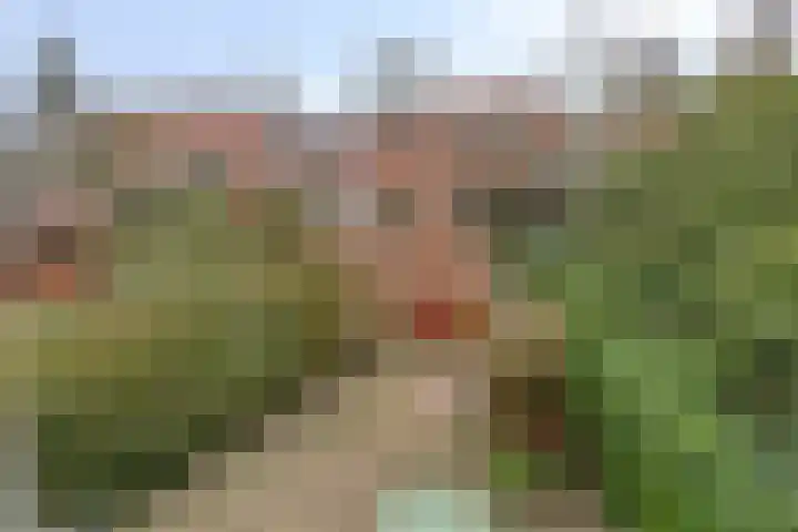 Kamperfoeliestraat 3 's-Hertogenbosch thumbnail 44