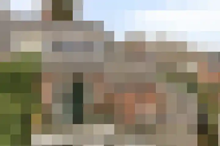 Kamperfoeliestraat 3 's-Hertogenbosch thumbnail 46