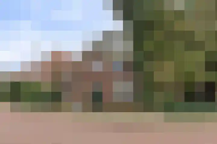 Kamperfoeliestraat 3 's-Hertogenbosch thumbnail 48