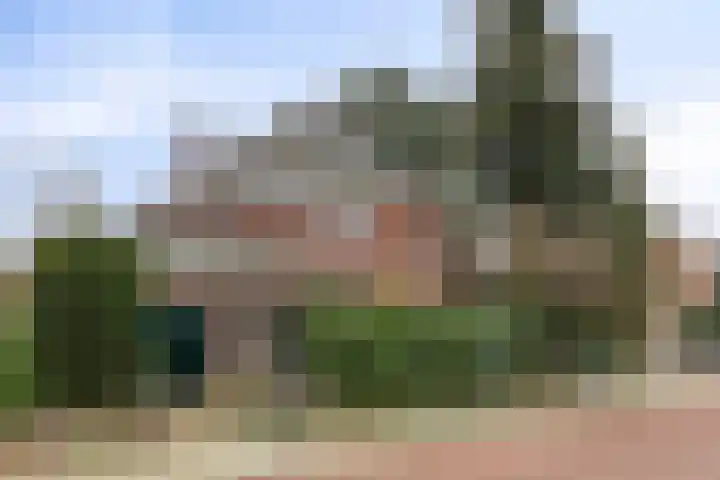 Kamperfoeliestraat 3 's-Hertogenbosch thumbnail 49