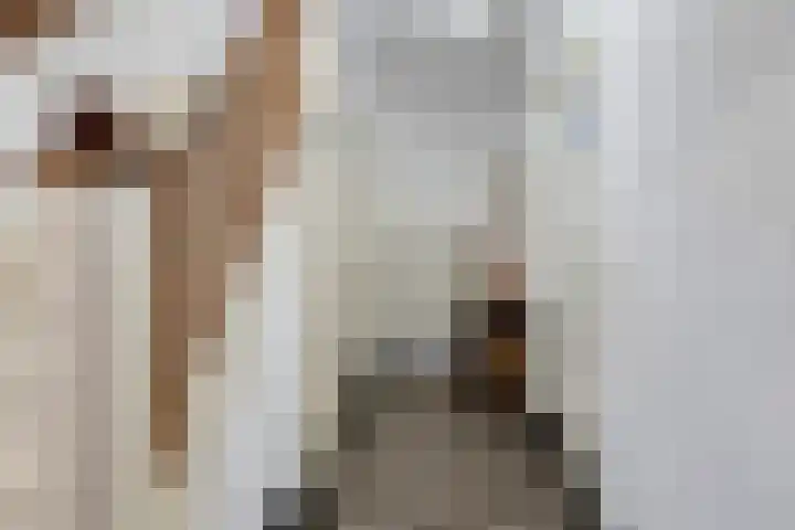 Kamperfoeliestraat 3 's-Hertogenbosch thumbnail 5