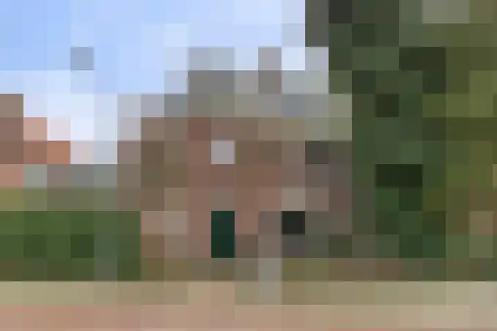 Kamperfoeliestraat 3 's-Hertogenbosch thumbnail 50