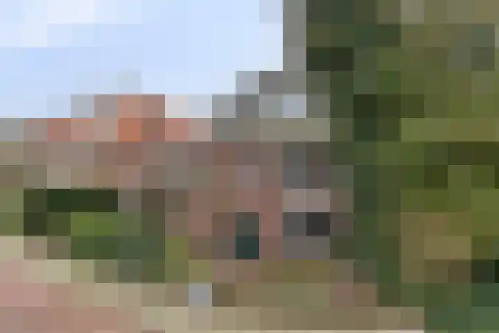 Kamperfoeliestraat 3 's-Hertogenbosch thumbnail 52