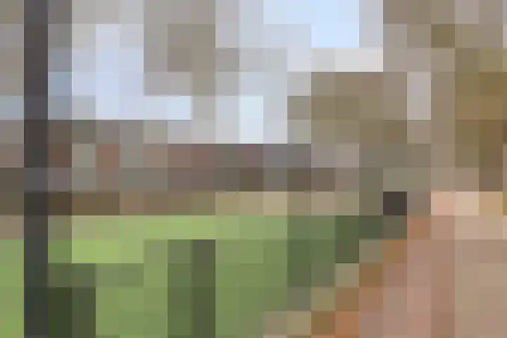 Kamperfoeliestraat 3 's-Hertogenbosch thumbnail 54