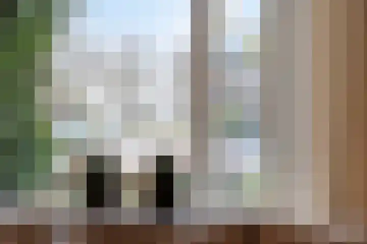 Kamperfoeliestraat 3 's-Hertogenbosch thumbnail 7