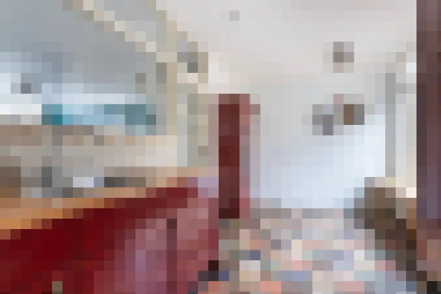 Kamperfoeliestraat 3 Wezep thumbnail 18
