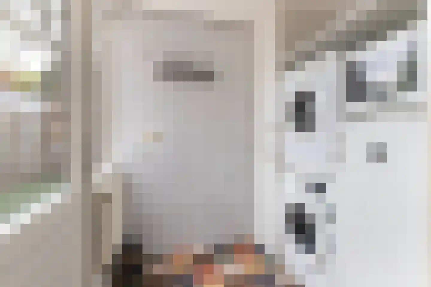 Kamperfoeliestraat 3 Wezep thumbnail 20