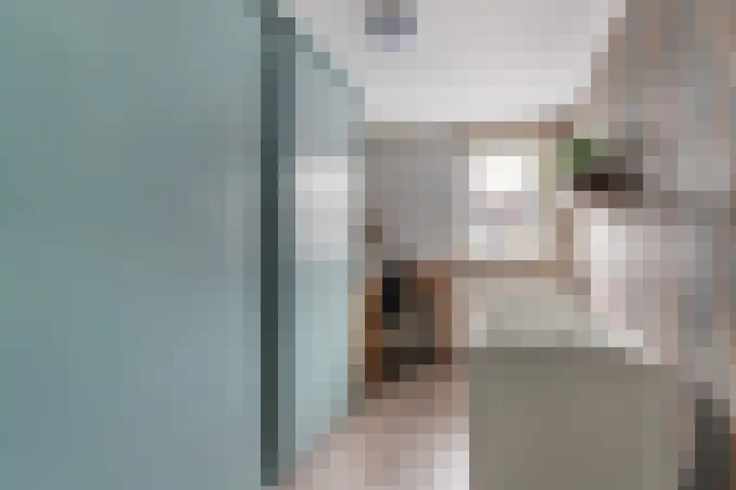 Kamperfoeliestraat 3 Wezep thumbnail 26