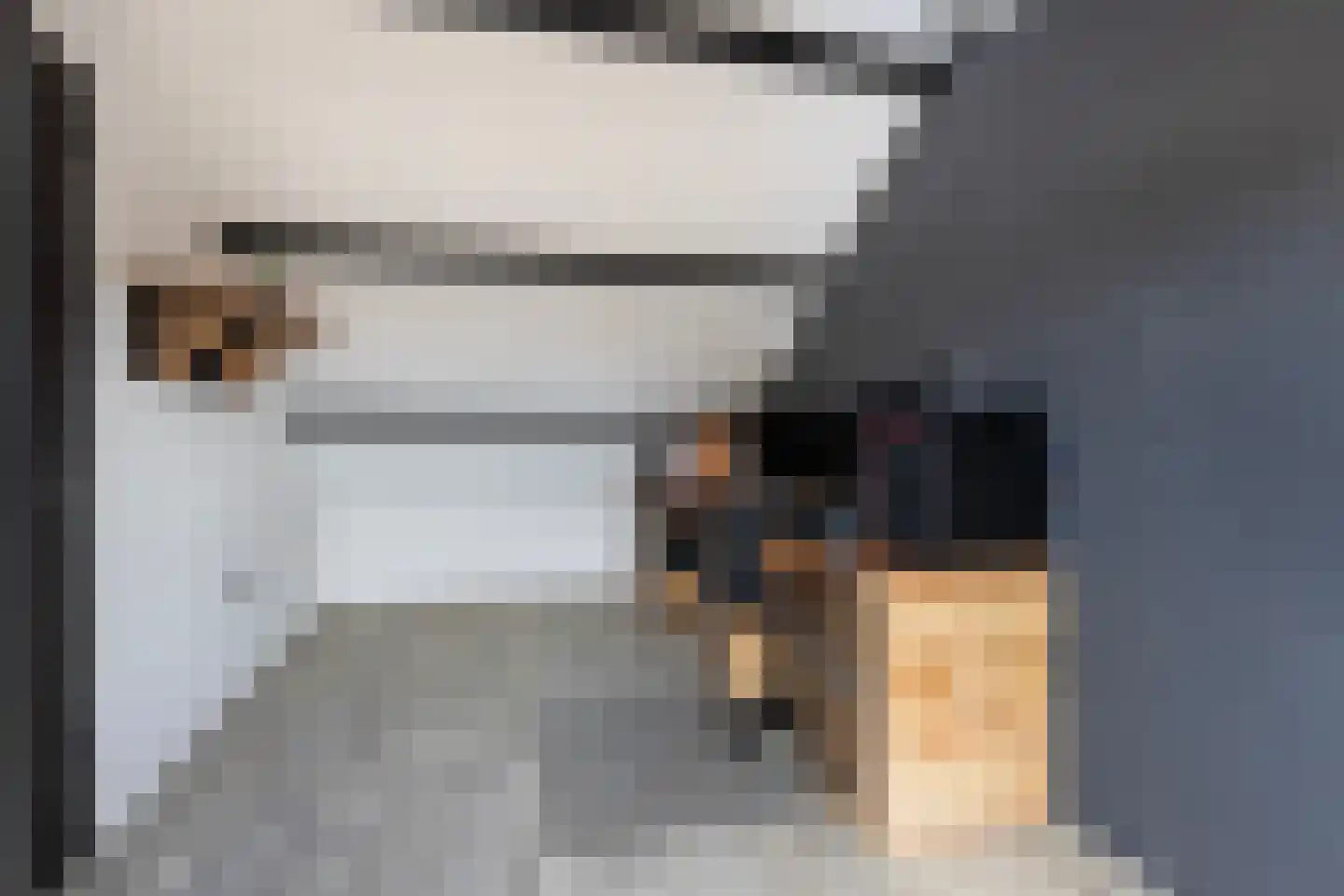 Kamperfoeliestraat 3 Wezep thumbnail 33