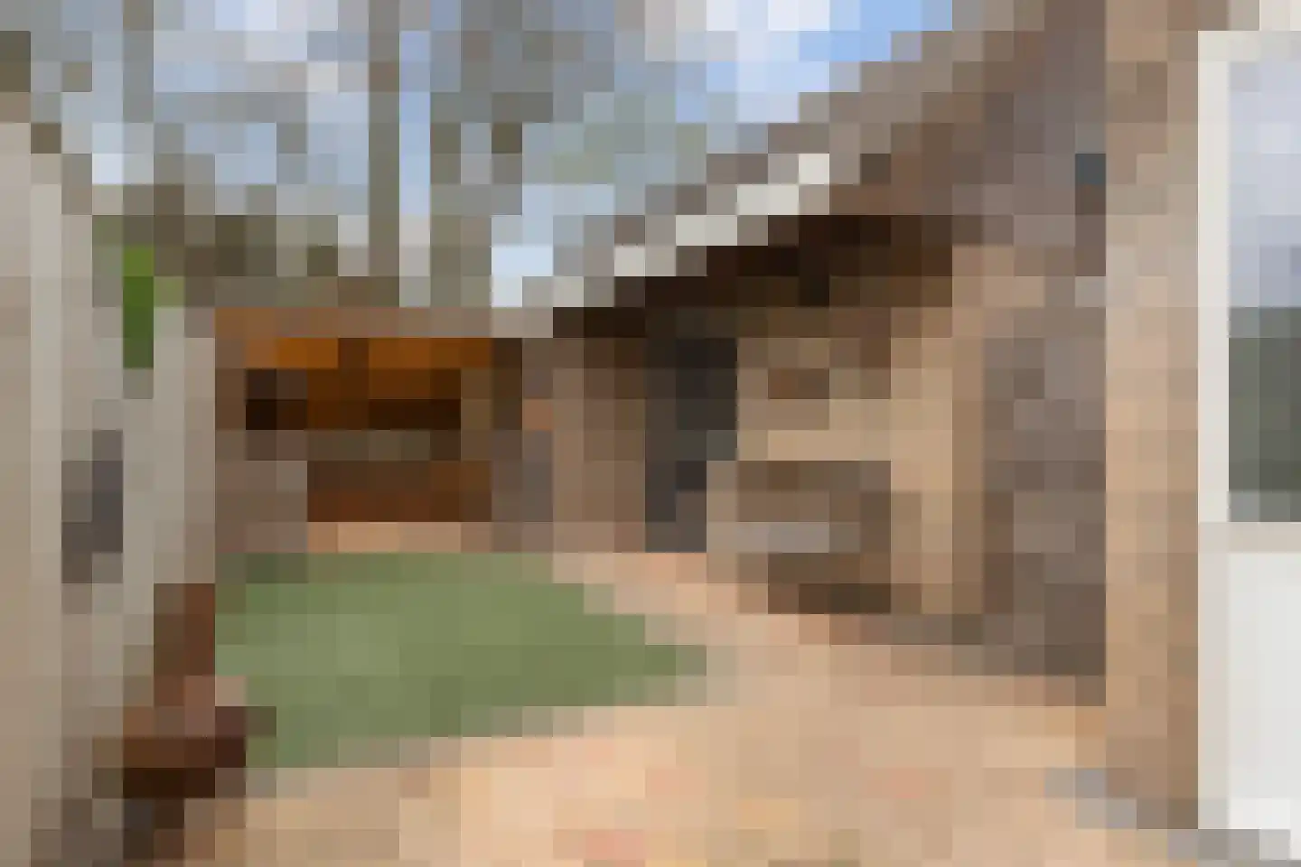 Kamperfoeliestraat 3 Wezep thumbnail 35