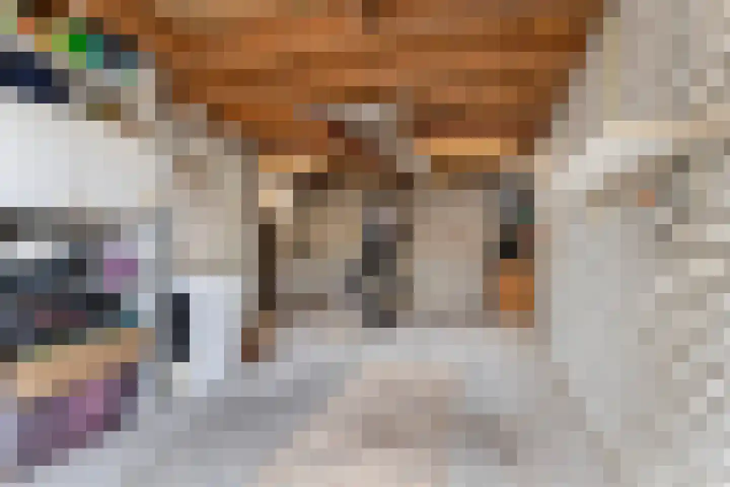 Kamperfoeliestraat 3 Wezep thumbnail 40