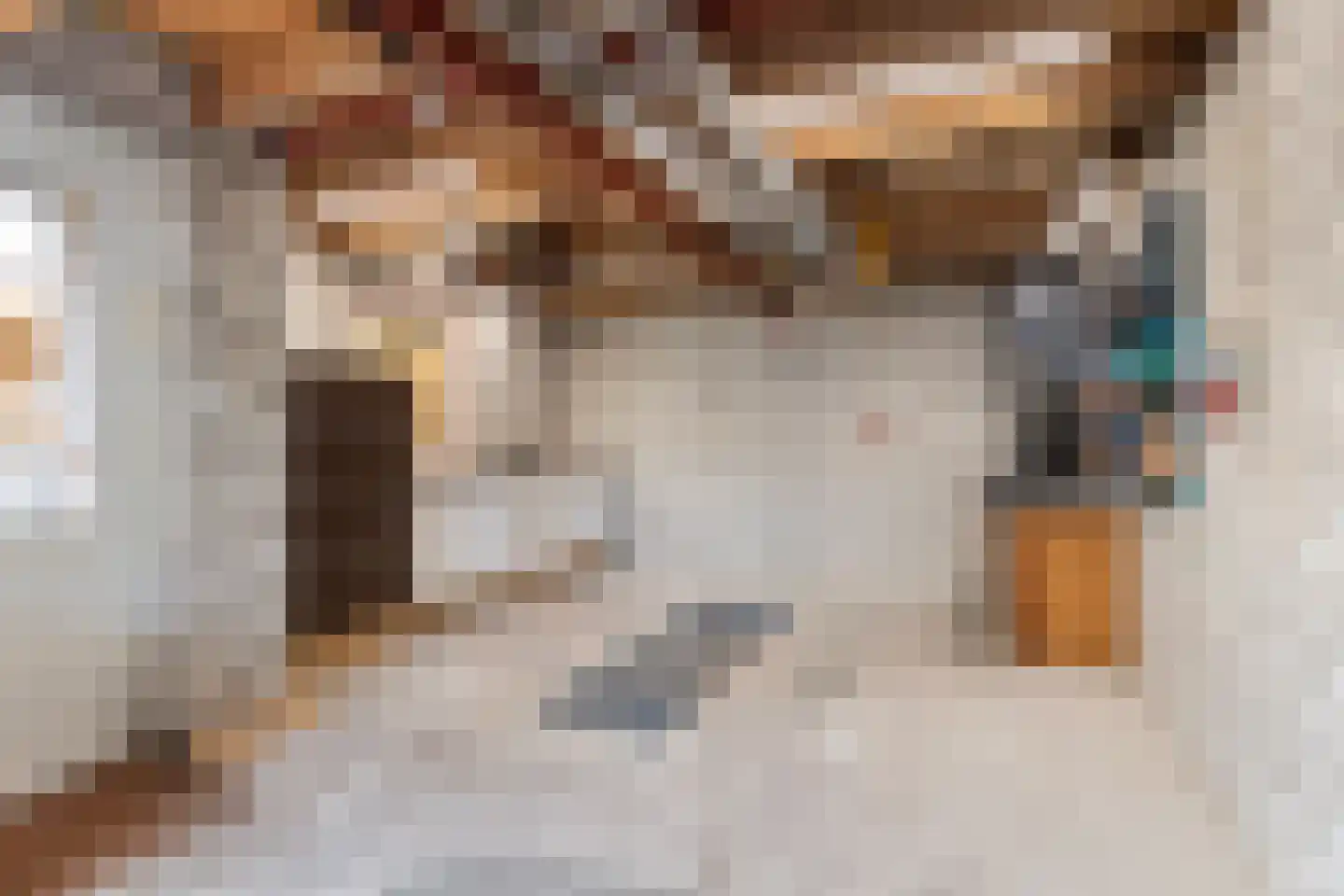 Kamperfoeliestraat 3 Wezep thumbnail 41