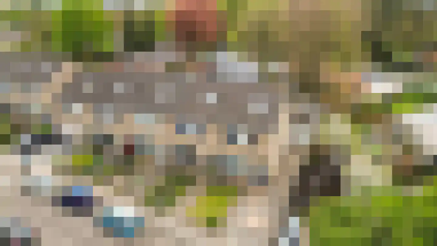 Kamperfoeliestraat 3 Wezep thumbnail 42