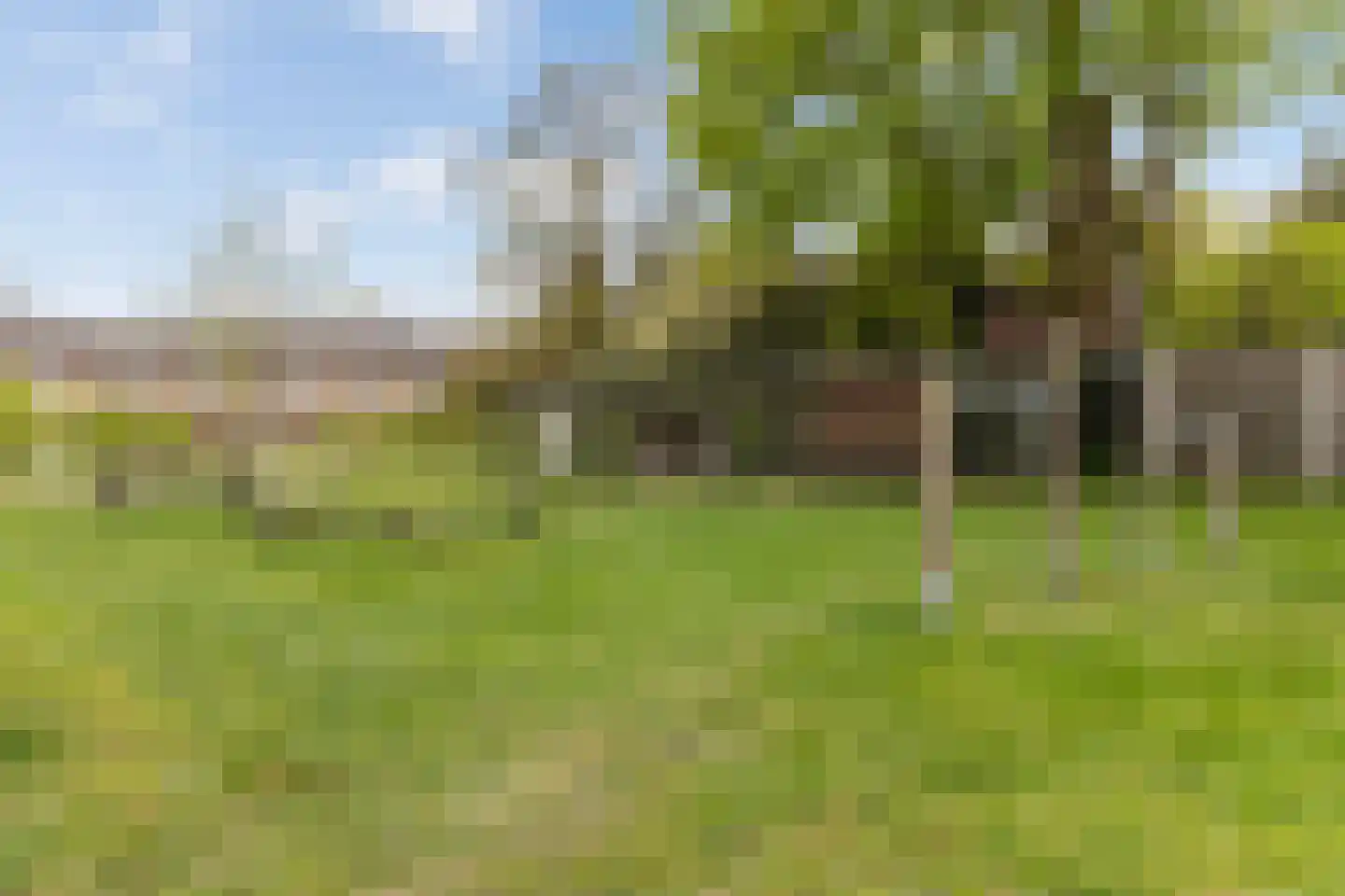 Kamperfoeliestraat 3 Wezep thumbnail 44