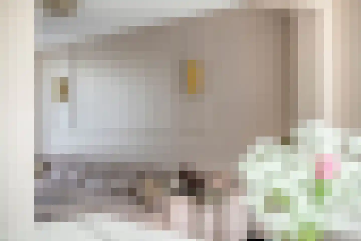 Kamperfoeliestraat 30 Drunen thumbnail 15