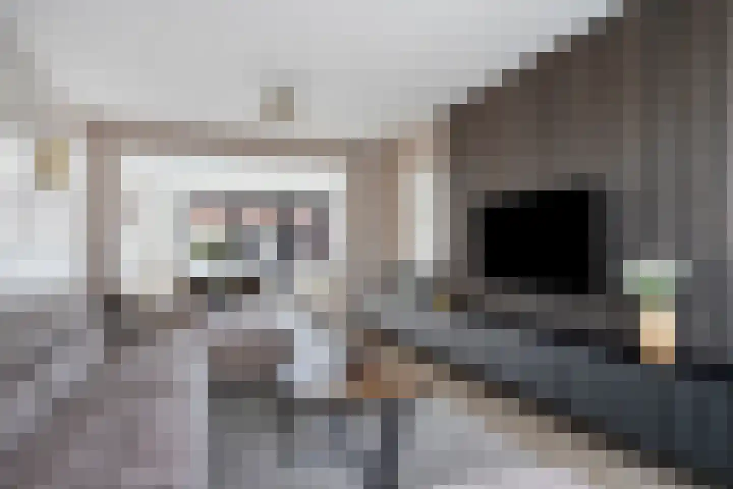 Kamperfoeliestraat 30 Drunen thumbnail 20