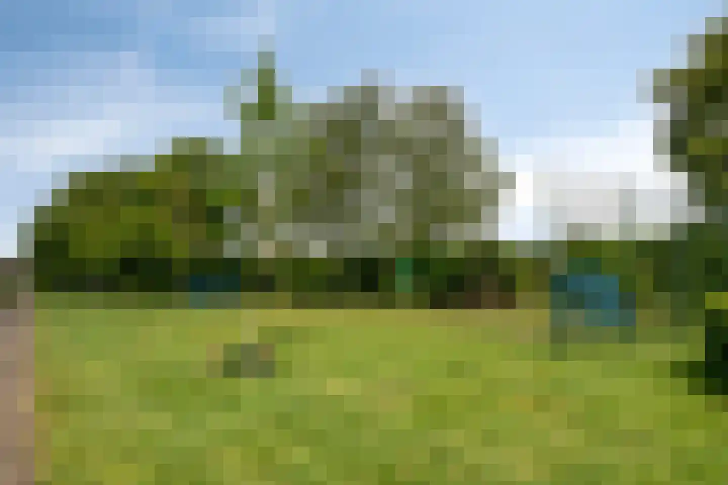 Kamperfoeliestraat 30 Drunen thumbnail 38