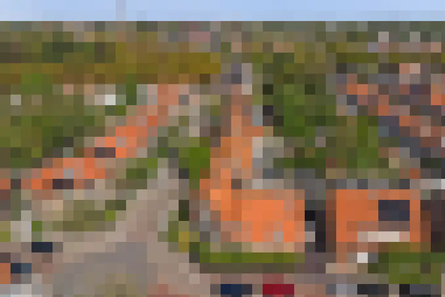 Kamperfoeliestraat 30 Goes thumbnail 13