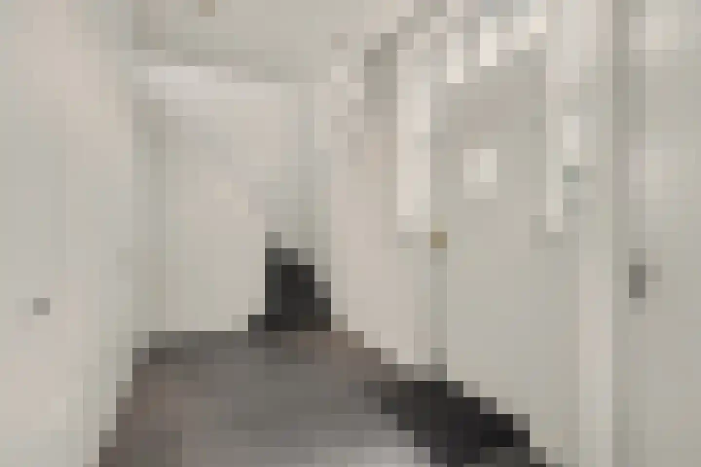 Kamperfoeliestraat 30 Goes thumbnail 17