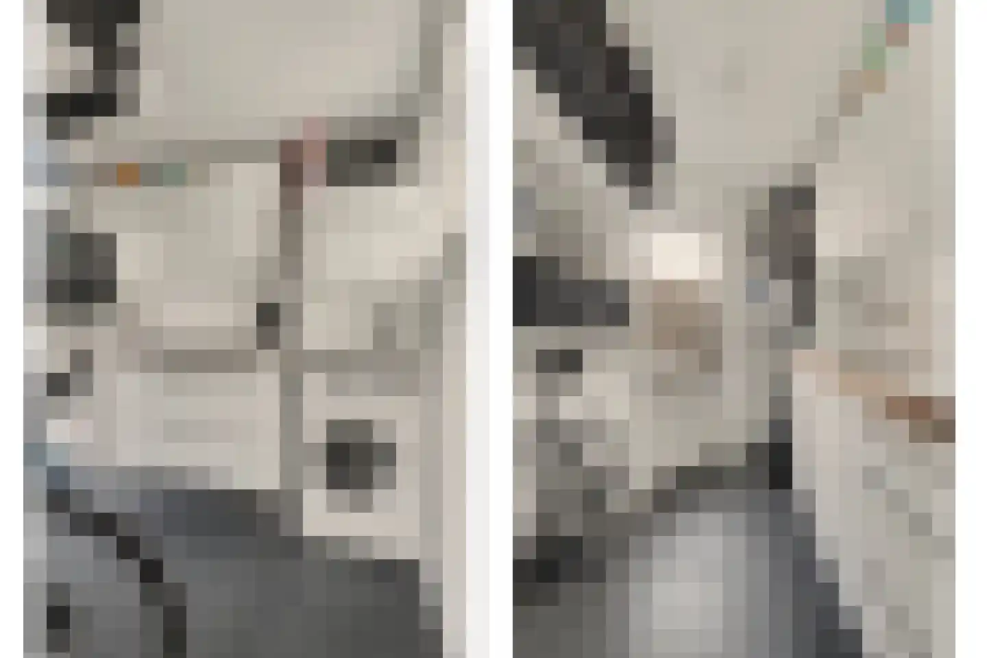 Kamperfoeliestraat 30 Goes thumbnail 23