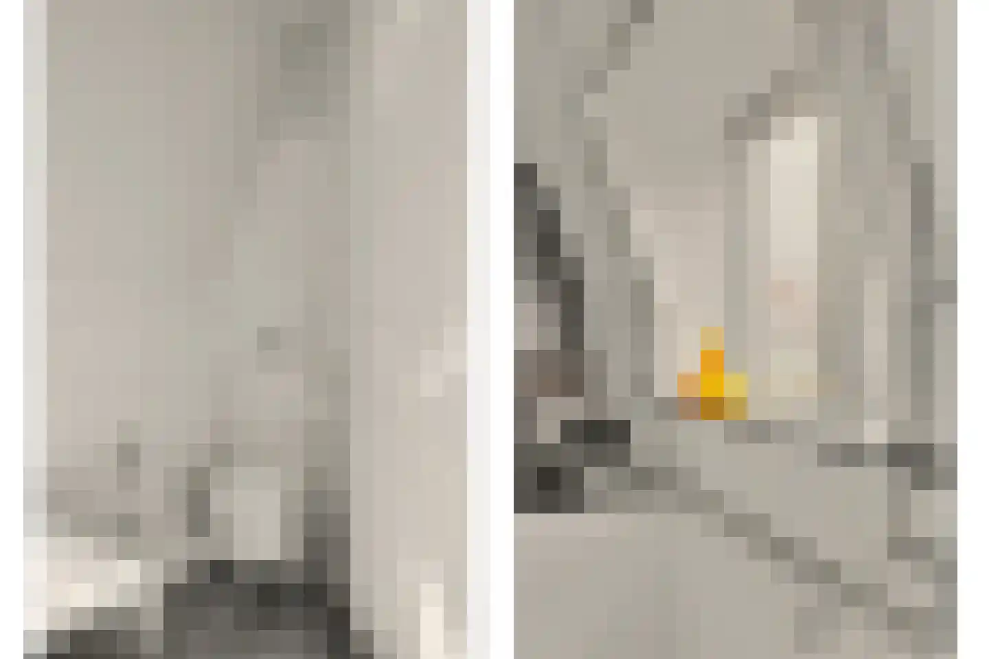 Kamperfoeliestraat 30 Goes thumbnail 30