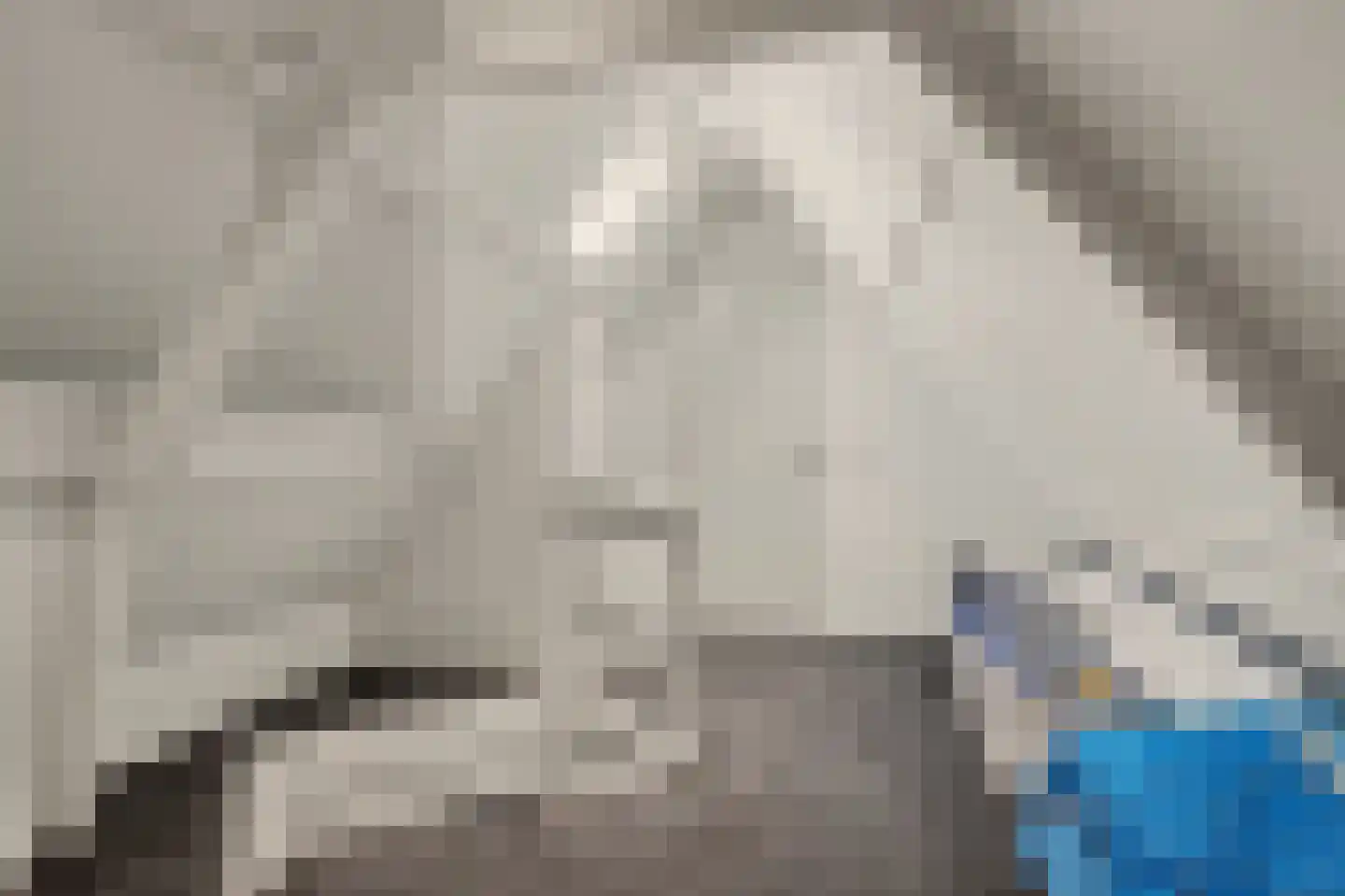 Kamperfoeliestraat 30 Goes thumbnail 31