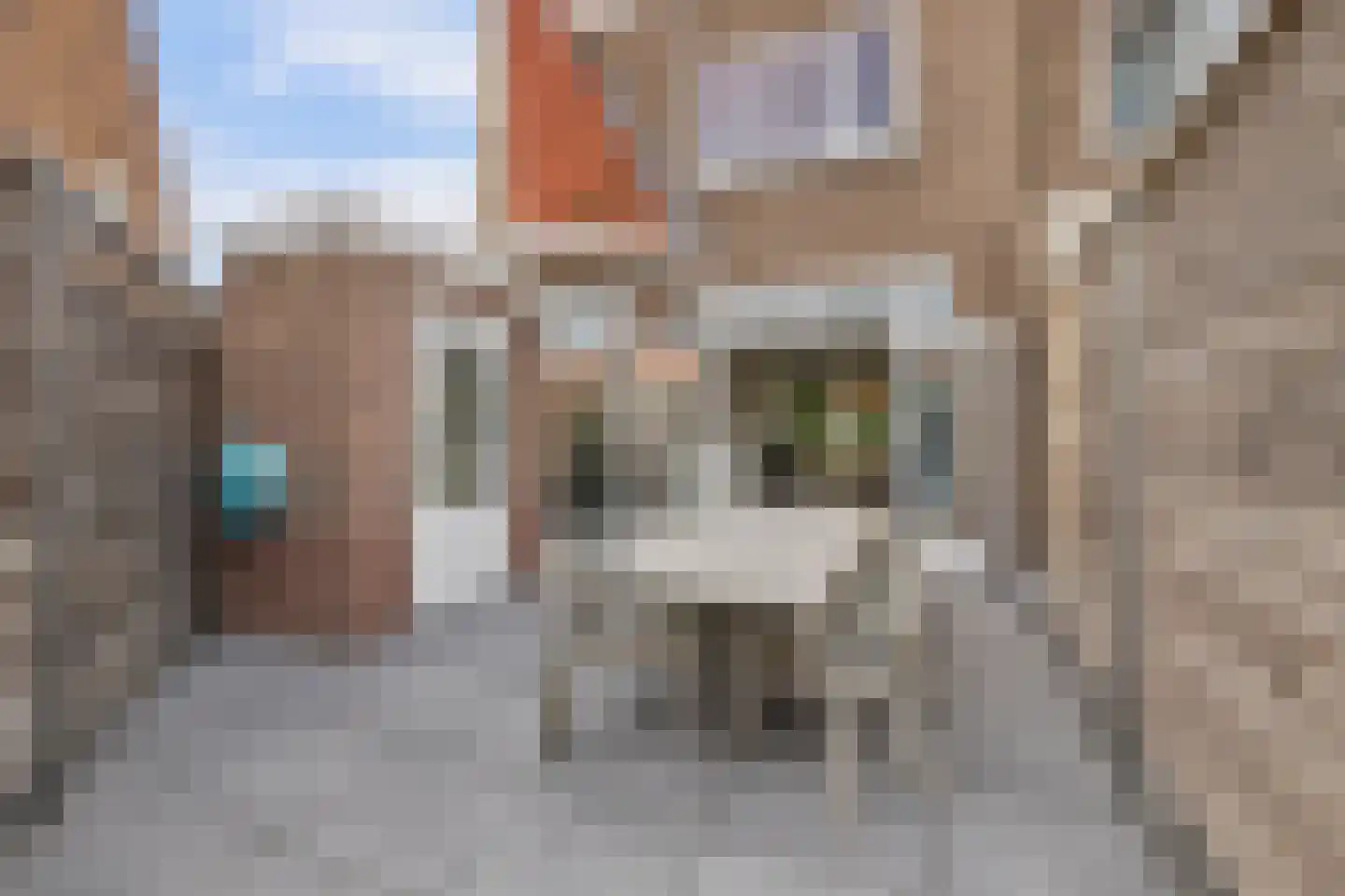 Kamperfoeliestraat 30 Goes thumbnail 34