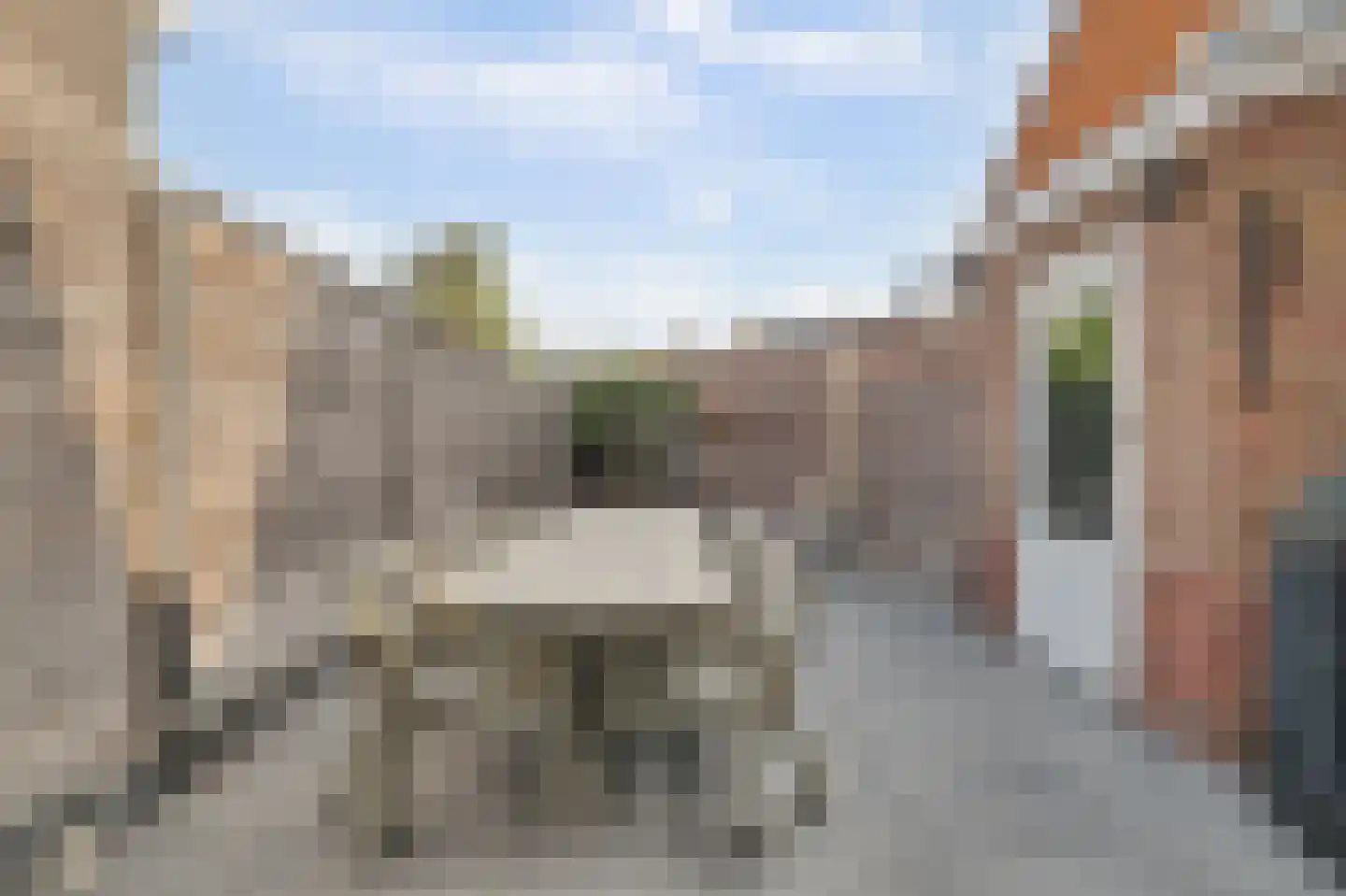 Kamperfoeliestraat 30 Goes thumbnail 35