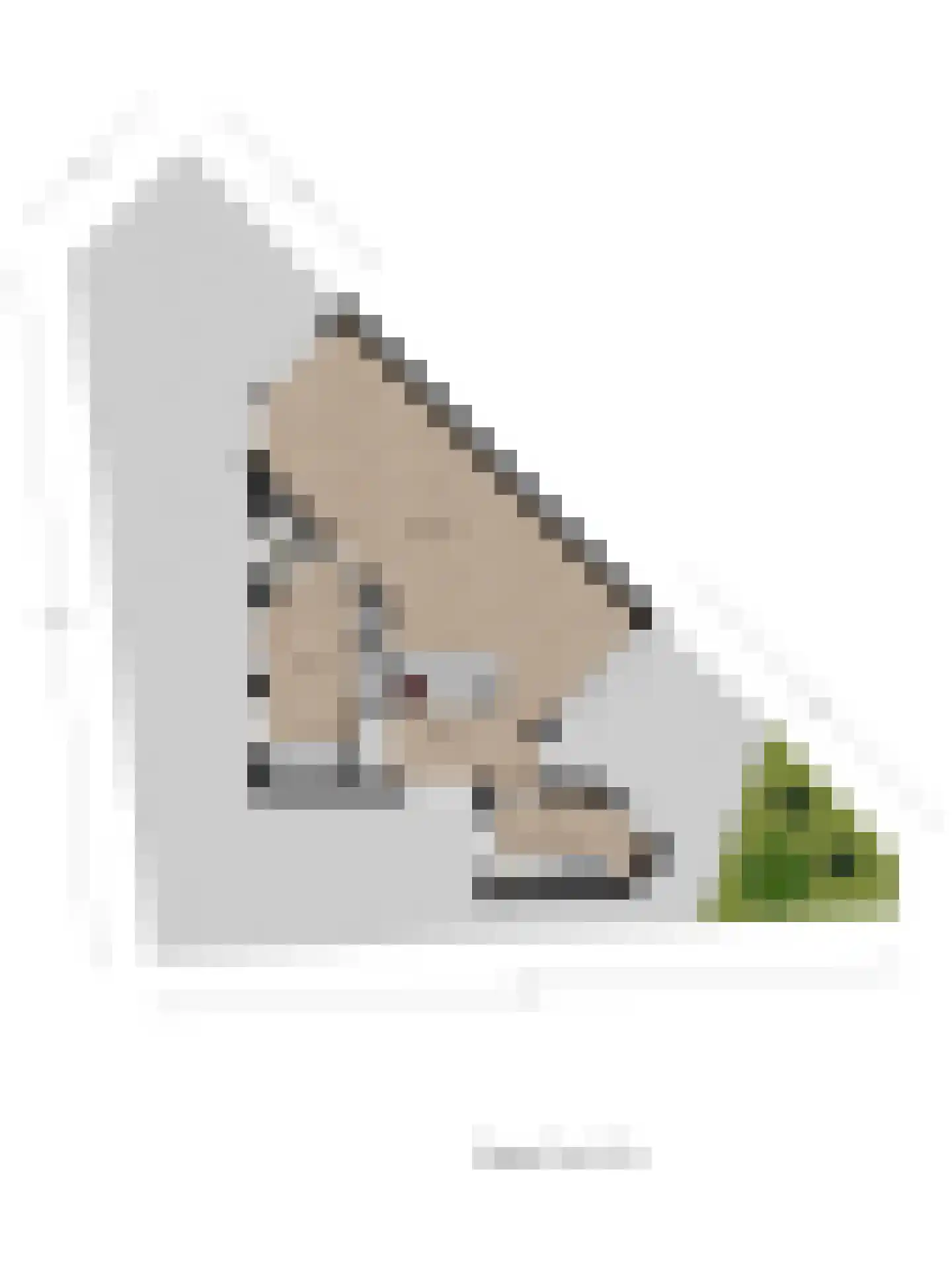 Kamperfoeliestraat 30 Goes thumbnail 37