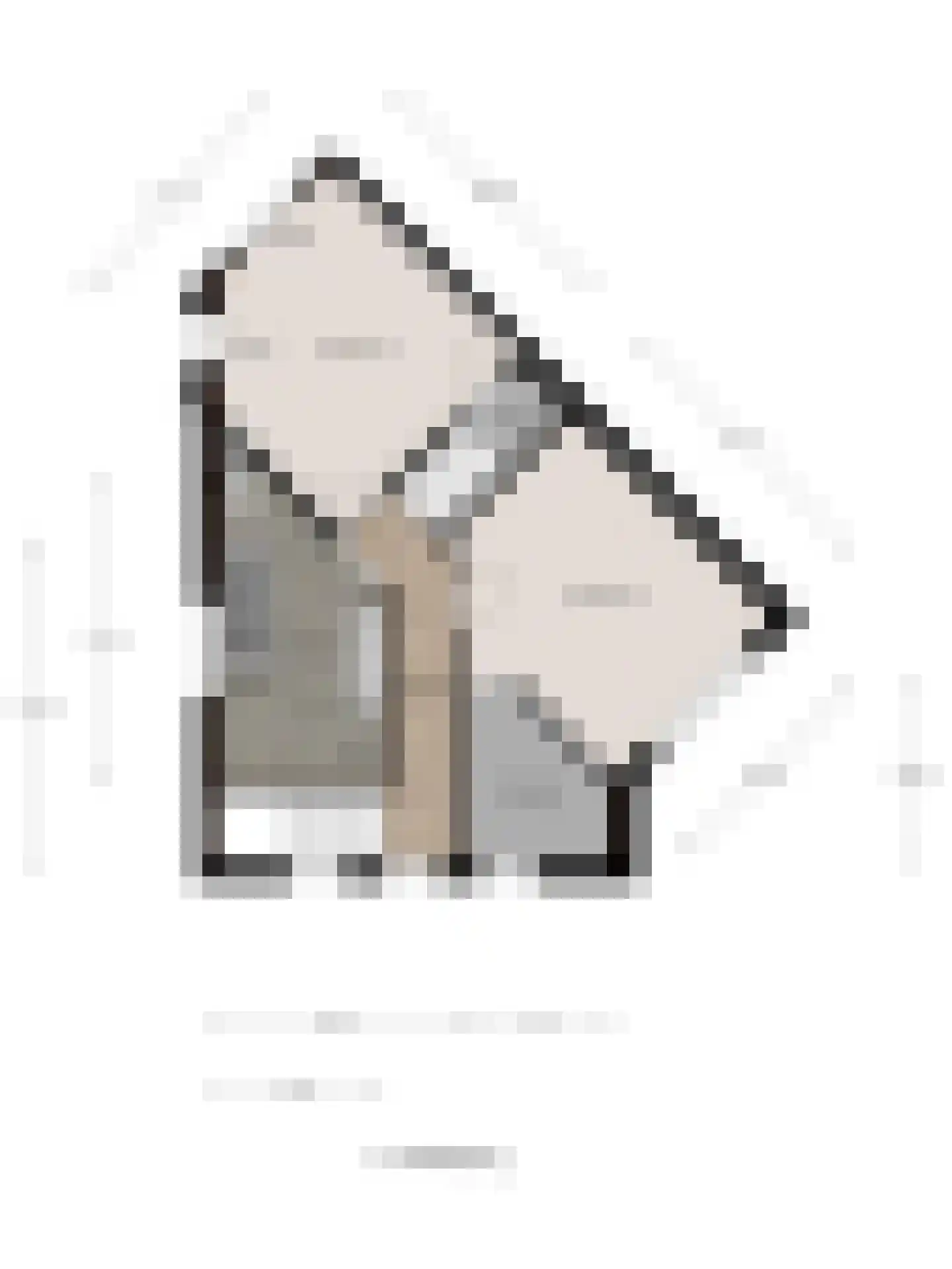 Kamperfoeliestraat 30 Goes thumbnail 39