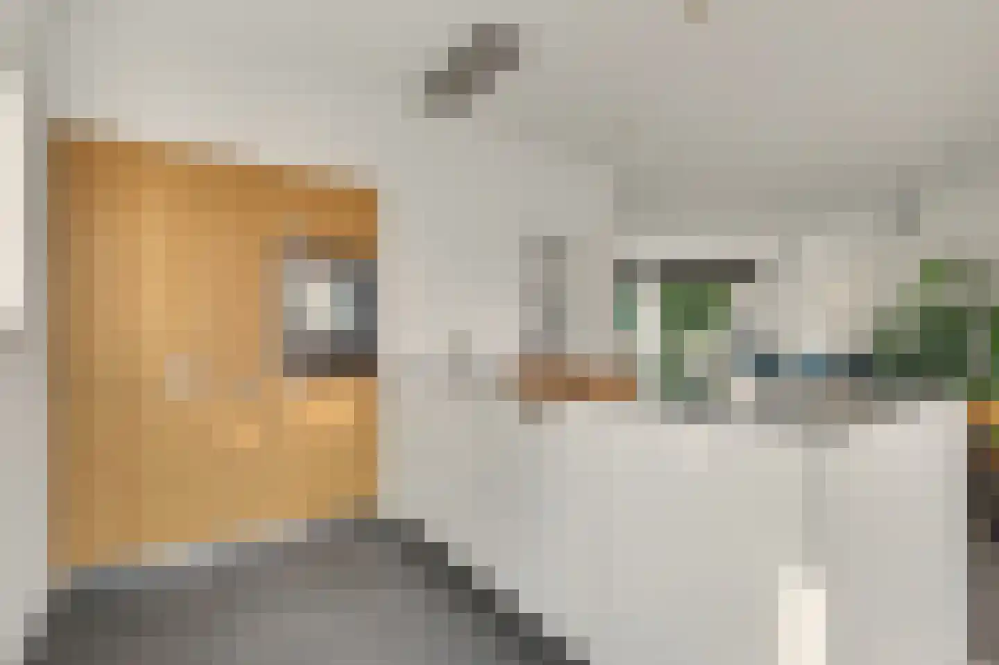 Kamperfoeliestraat 30 Goes thumbnail 4
