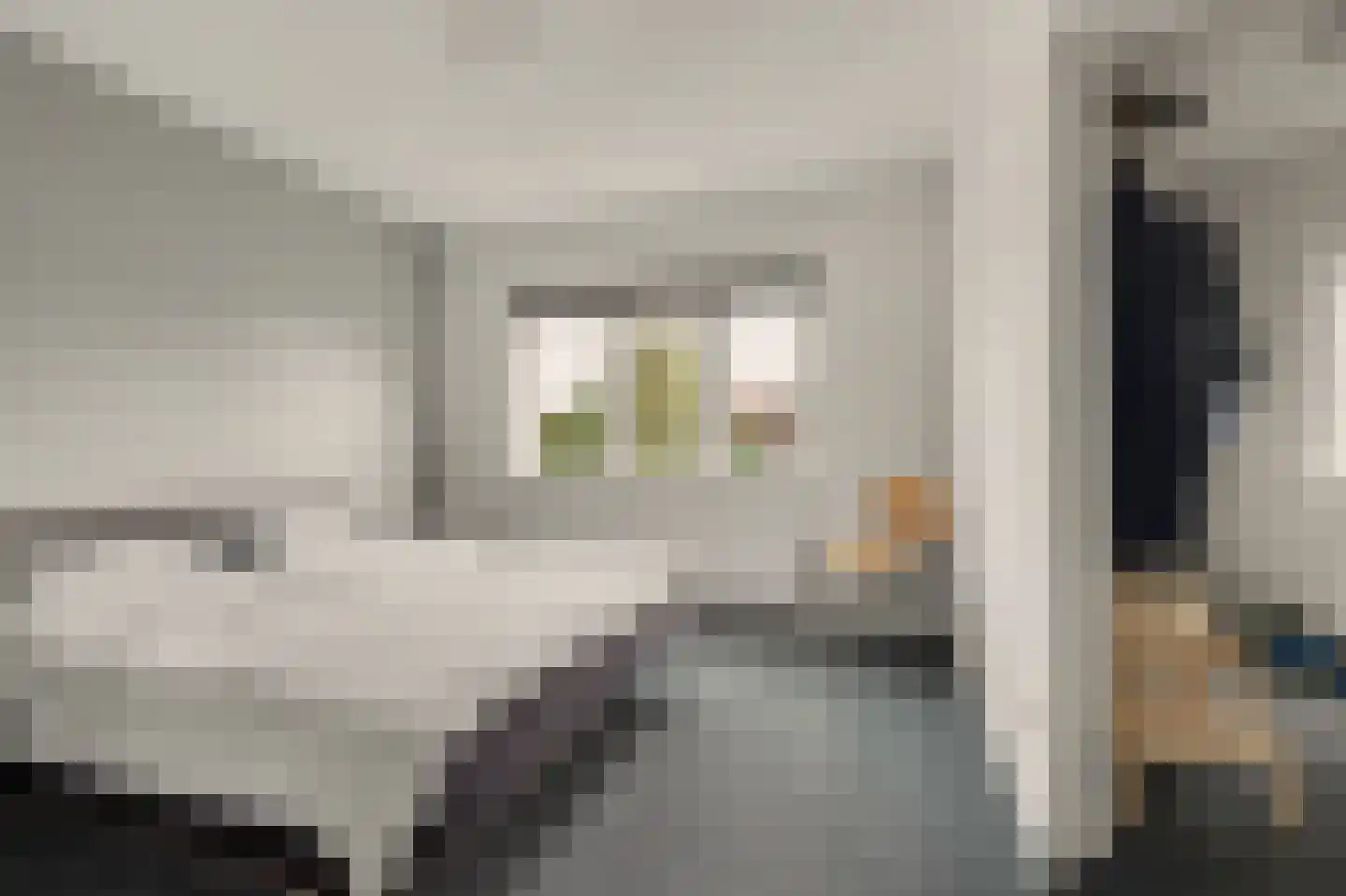 Kamperfoeliestraat 30 Goes thumbnail 7