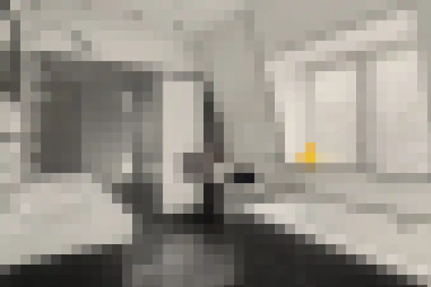 Kamperfoeliestraat 30 Goes thumbnail 9