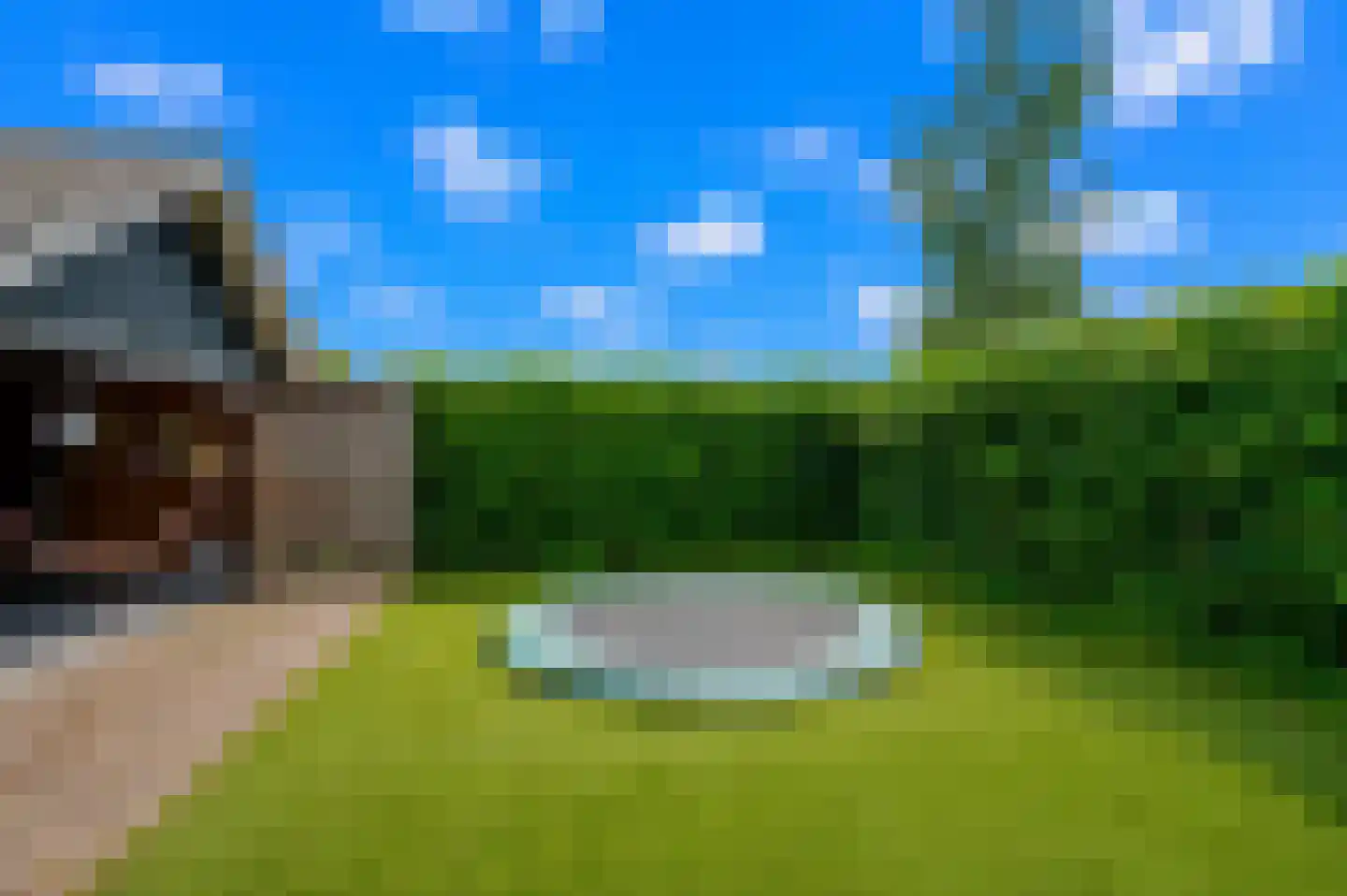 Kamperfoeliestraat 30 's-Gravenpolder thumbnail 10