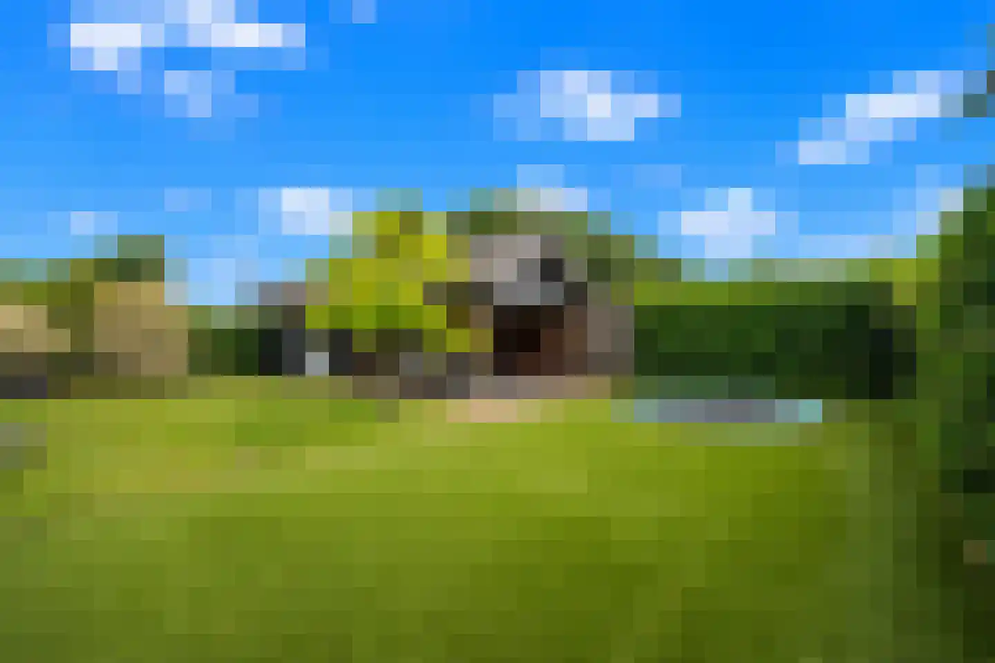 Kamperfoeliestraat 30 's-Gravenpolder thumbnail 11