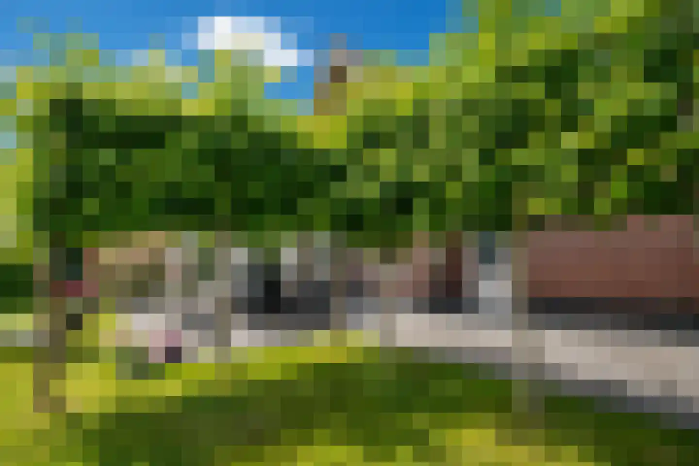 Kamperfoeliestraat 30 's-Gravenpolder thumbnail 19